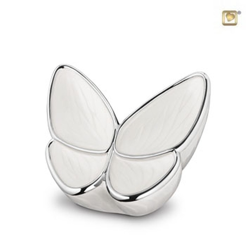 Butterfly urn groot ivoor